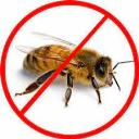 Bees Control Logan logo